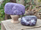 Polished Lepidolite Galets x 12 From Zimbabwe - Toprock Gemstones and Minerals 