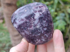 Polished Lepidolite Galets x 12 From Zimbabwe - Toprock Gemstones and Minerals 