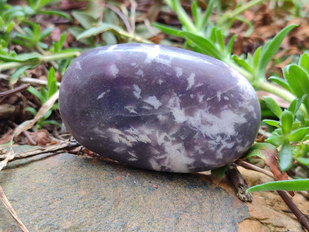 Polished Lepidolite Galets x 12 From Zimbabwe - Toprock Gemstones and Minerals 