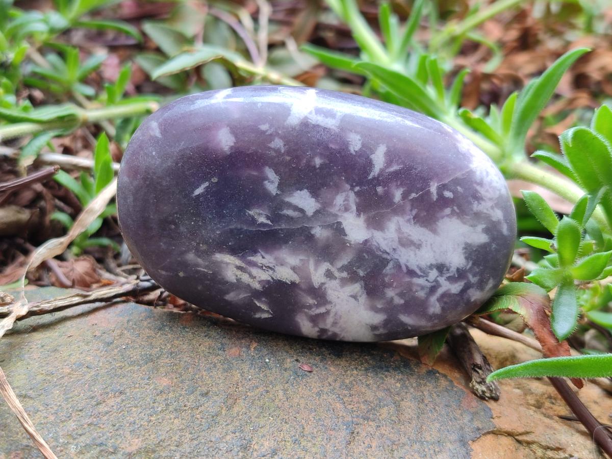 Polished Lepidolite Galets x 12 From Zimbabwe - Toprock Gemstones and Minerals 