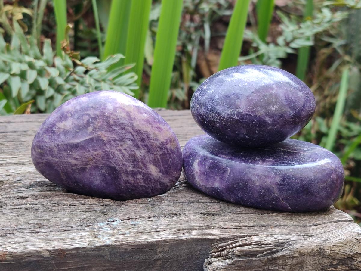 Polished Lepidolite Galets x 12 From Zimbabwe - Toprock Gemstones and Minerals 