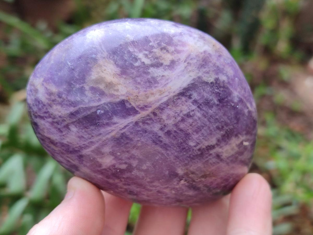 Polished Lepidolite Galets x 12 From Zimbabwe - Toprock Gemstones and Minerals 