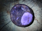 Polished Lepidolite Galets x 12 From Zimbabwe - Toprock Gemstones and Minerals 