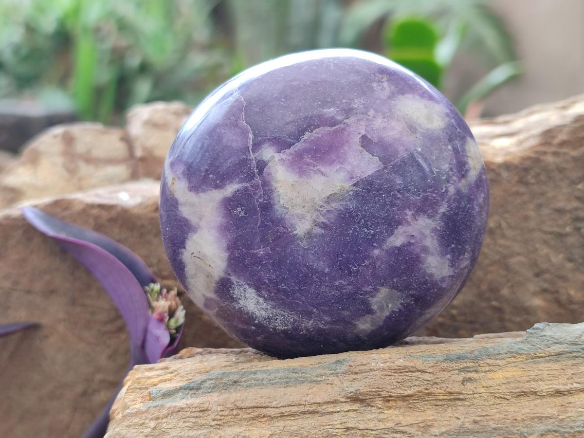 Polished Lepidolite Galets x 12 From Zimbabwe - Toprock Gemstones and Minerals 