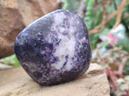 Polished Lepidolite Galets x 12 From Zimbabwe - Toprock Gemstones and Minerals 