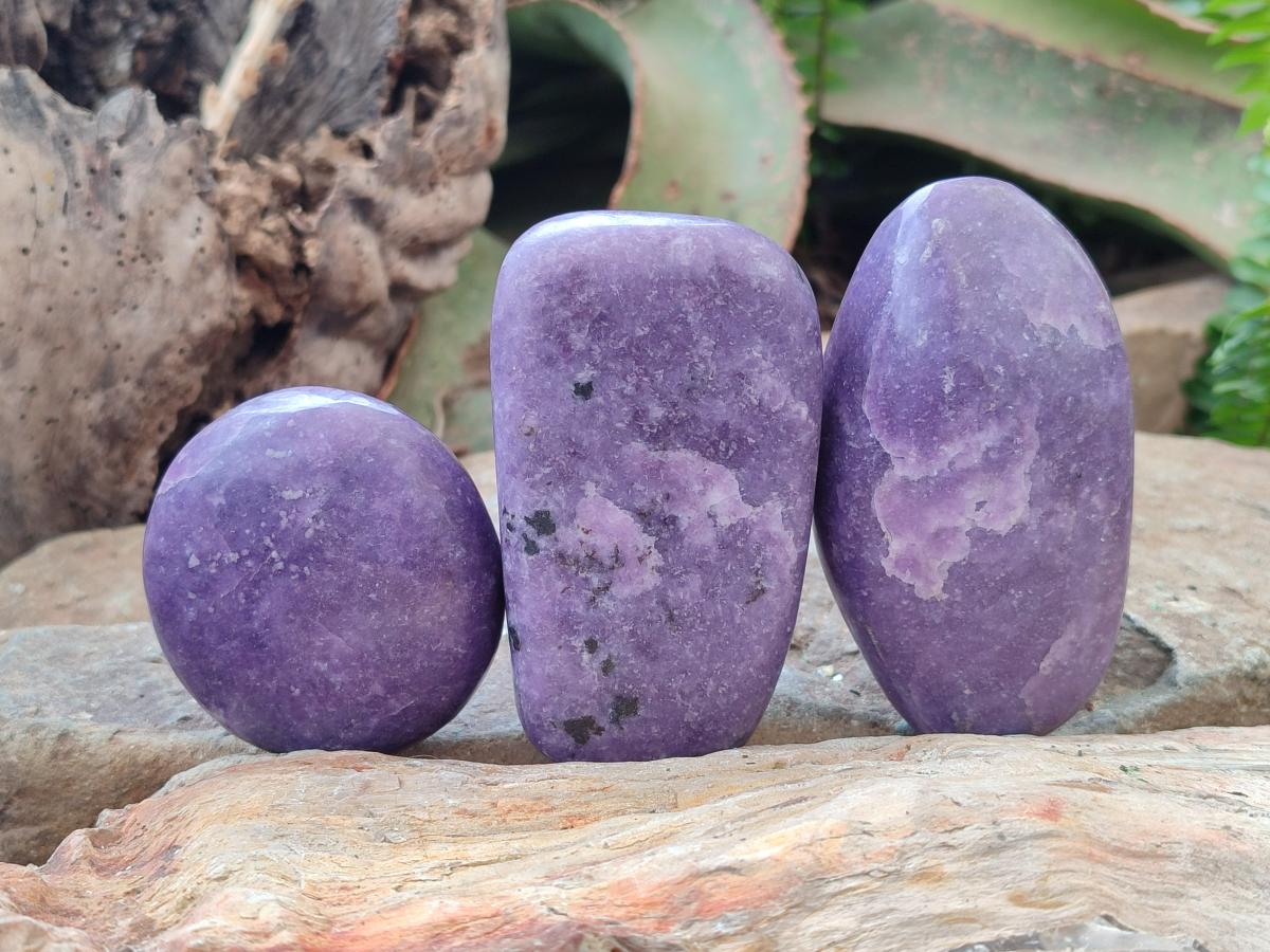 Polished Lepidolite Galets x 12 From Zimbabwe - Toprock Gemstones and Minerals 