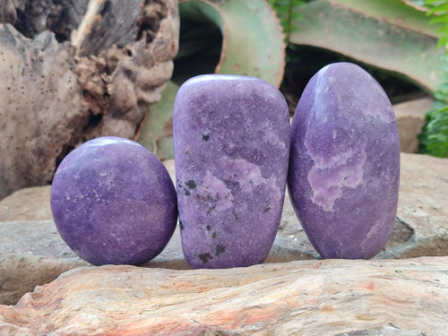 Polished Lepidolite Galets x 12 From Zimbabwe - Toprock Gemstones and Minerals 
