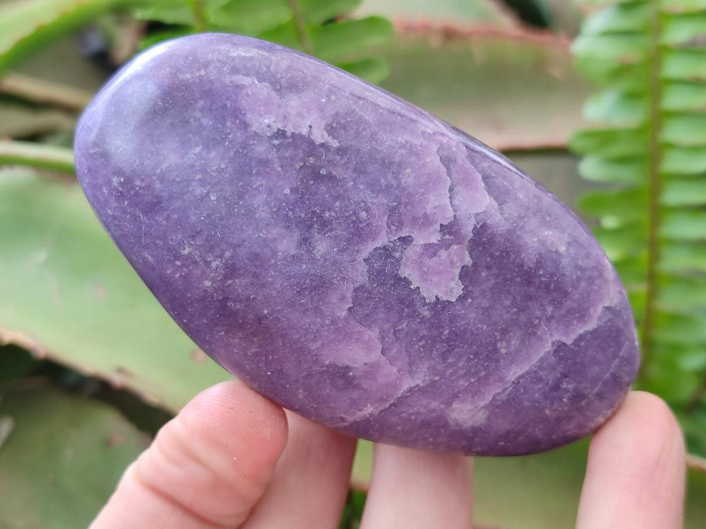 Polished Lepidolite Galets x 12 From Zimbabwe - Toprock Gemstones and Minerals 