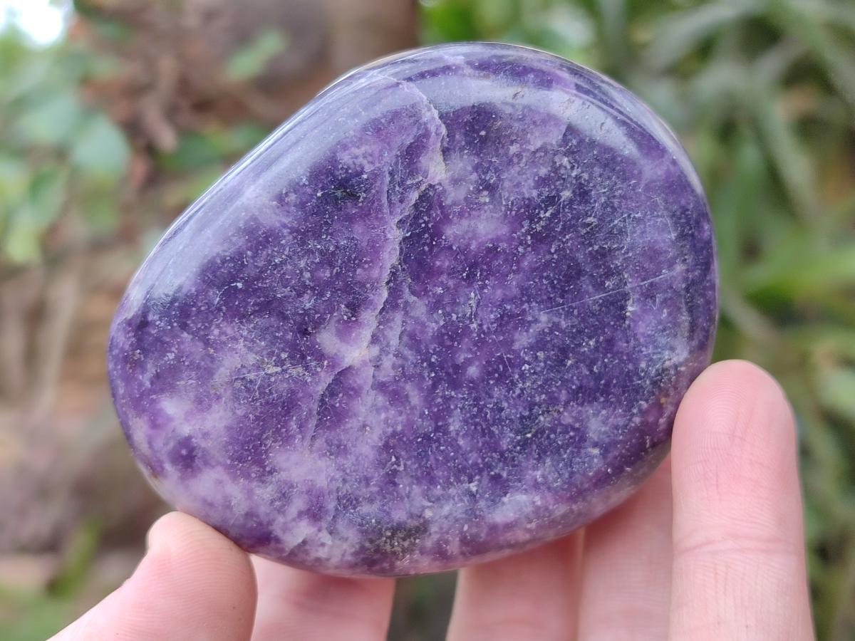 Polished Lepidolite Galets x 12 From Zimbabwe - Toprock Gemstones and Minerals 