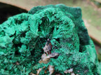 Natural Silky Malachite Specimens x 3 From Kasompe, Congo - Toprock Gemstones and Minerals 