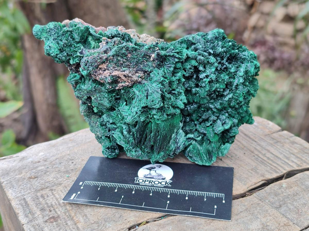 Natural Silky Malachite Specimens x 3 From Kasompe, Congo - Toprock Gemstones and Minerals 