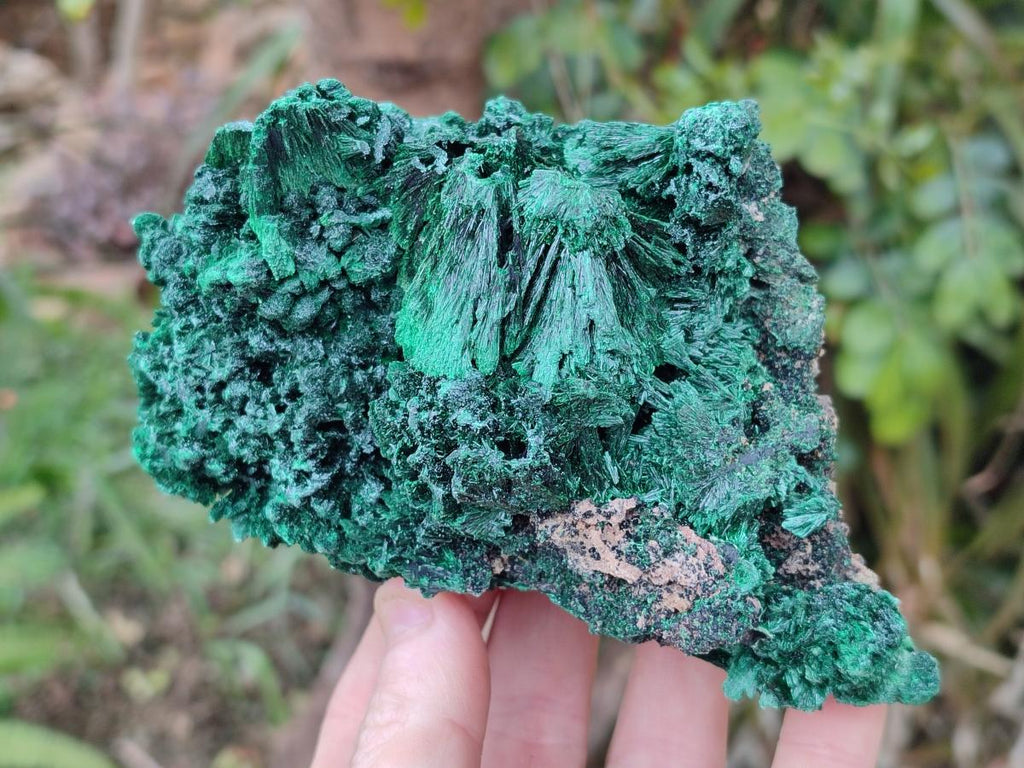 Natural Silky Malachite Specimens x 3 From Kasompe, Congo - Toprock Gemstones and Minerals 