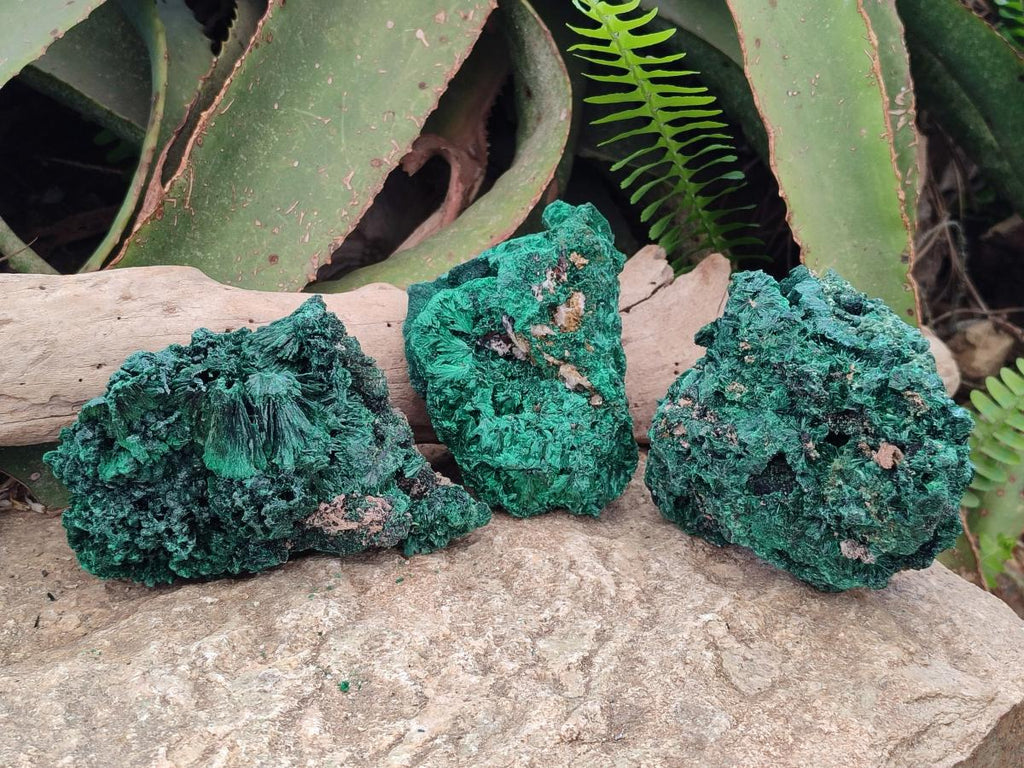 Natural Silky Malachite Specimens x 3 From Kasompe, Congo - Toprock Gemstones and Minerals 