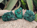 Natural Silky Malachite Specimens x 3 From Kasompe, Congo - Toprock Gemstones and Minerals 