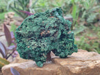 Natural Silky Malachite Specimens x 3 From Kasompe, Congo - Toprock Gemstones and Minerals 