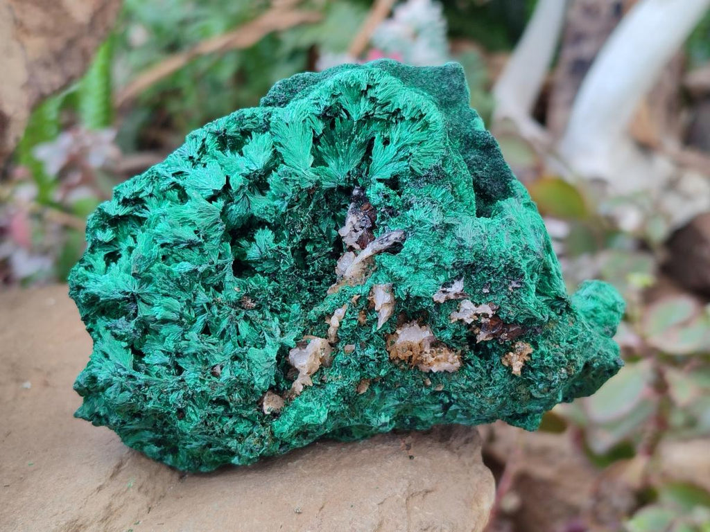 Natural Silky Malachite Specimens x 3 From Kasompe, Congo - Toprock Gemstones and Minerals 