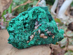 Natural Silky Malachite Specimens x 3 From Kasompe, Congo - Toprock Gemstones and Minerals 
