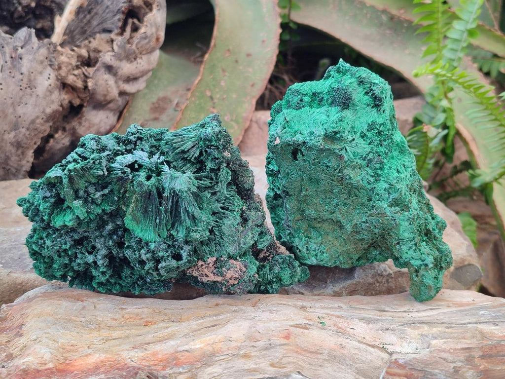 Natural Silky Malachite Specimens x 3 From Kasompe, Congo - Toprock Gemstones and Minerals 
