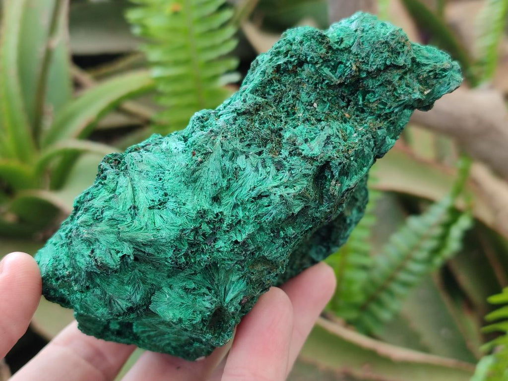 Natural Silky Malachite Specimens x 3 From Kasompe, Congo - Toprock Gemstones and Minerals 