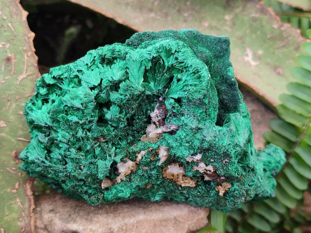 Natural Silky Malachite Specimens x 3 From Kasompe, Congo - Toprock Gemstones and Minerals 