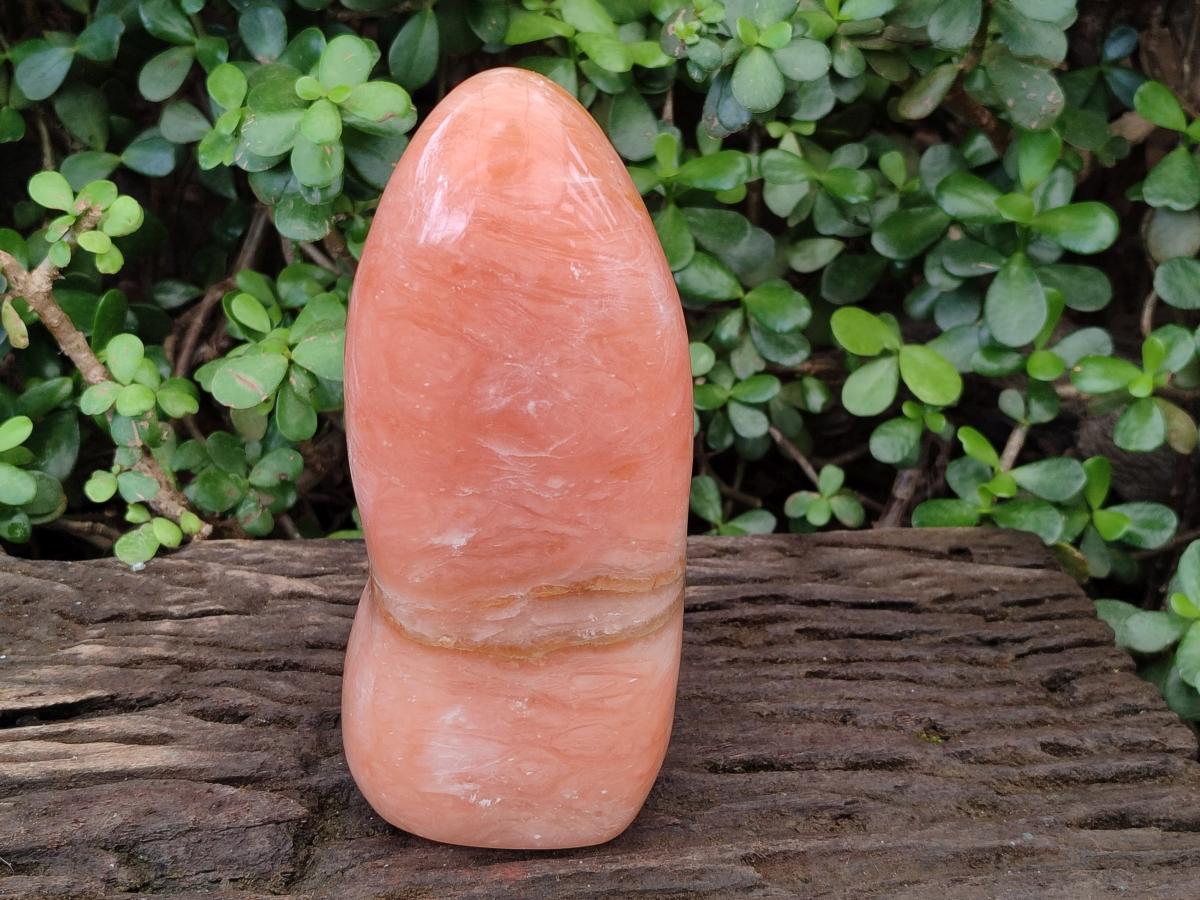 Polished Large Orange Twist Calcite Standing Display Piece x 1 From Maevatanana, Madagascar - Toprock Gemstones and Minerals 