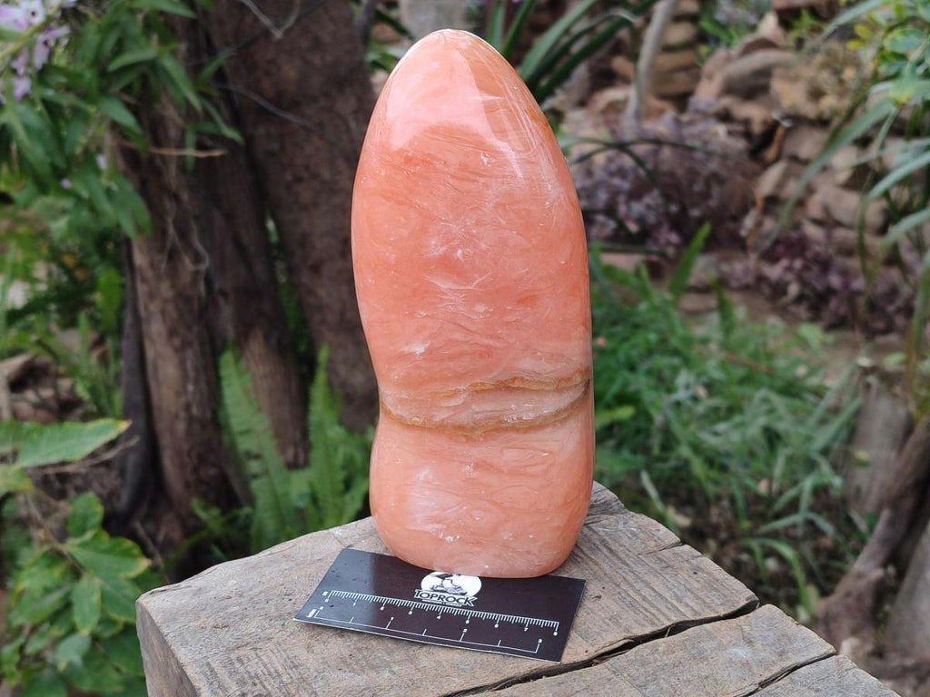 Polished Large Orange Twist Calcite Standing Display Piece x 1 From Maevatanana, Madagascar - Toprock Gemstones and Minerals 