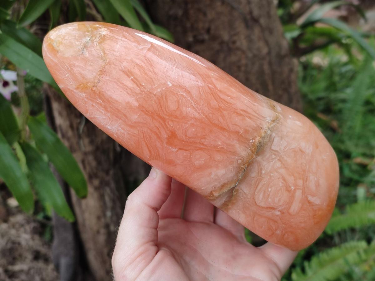 Polished Large Orange Twist Calcite Standing Display Piece x 1 From Maevatanana, Madagascar - Toprock Gemstones and Minerals 