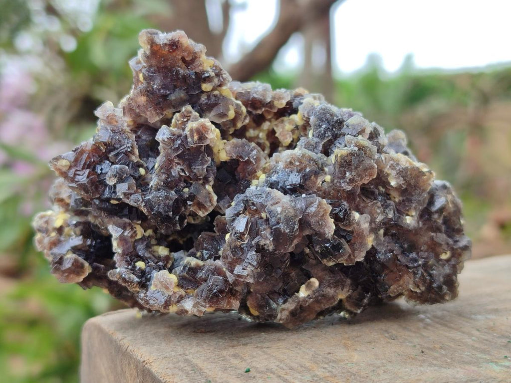 Natural Smokey Fluorite Specimens with Yellow Muscovite Mica x 5 From Erongo, Namibia - Toprock Gemstones and Minerals 