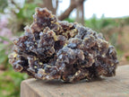 Natural Smokey Fluorite Specimens with Yellow Muscovite Mica x 5 From Erongo, Namibia - Toprock Gemstones and Minerals 