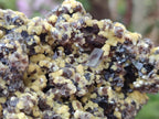 Natural Smokey Fluorite Specimens with Yellow Muscovite Mica x 5 From Erongo, Namibia - Toprock Gemstones and Minerals 