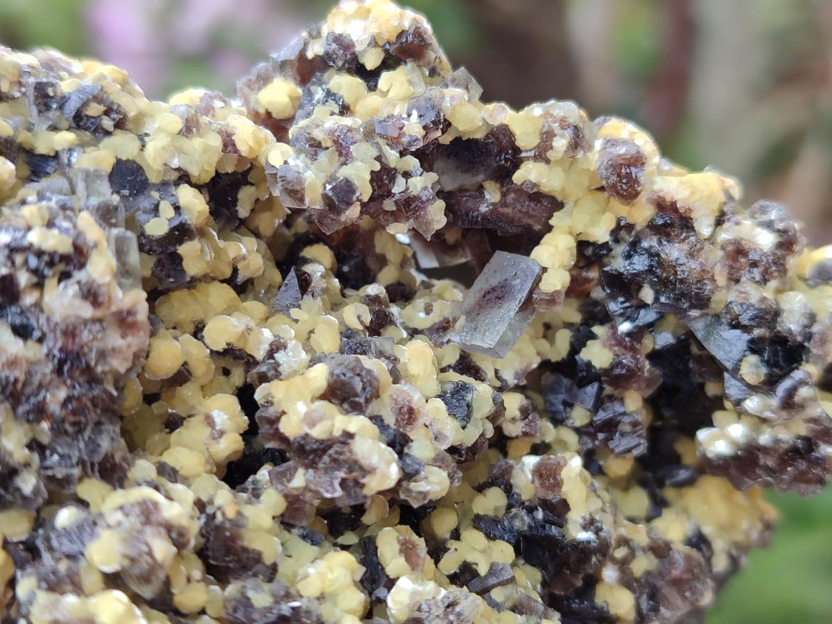 Natural Smokey Fluorite Specimens with Yellow Muscovite Mica x 5 From Erongo, Namibia - Toprock Gemstones and Minerals 