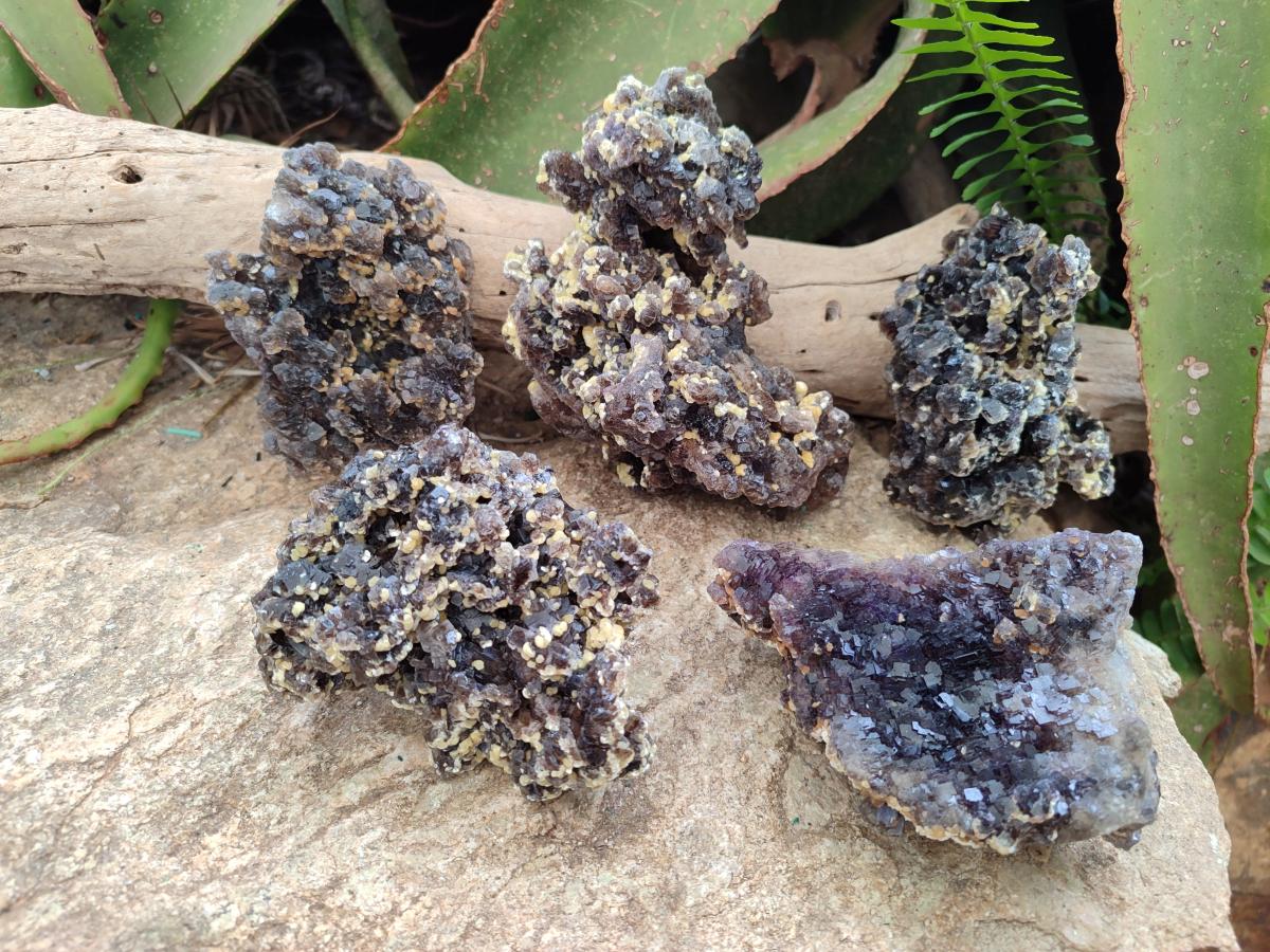 Natural Smokey Fluorite Specimens with Yellow Muscovite Mica x 5 From Erongo, Namibia - Toprock Gemstones and Minerals 