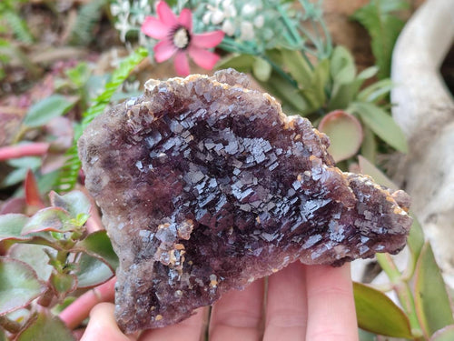 Natural Smokey Fluorite Specimens with Yellow Muscovite Mica x 5 From Erongo, Namibia - Toprock Gemstones and Minerals 