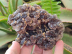 Natural Smokey Fluorite Specimens with Yellow Muscovite Mica x 5 From Erongo, Namibia - Toprock Gemstones and Minerals 