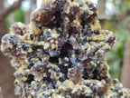 Natural Smokey Fluorite Specimens with Yellow Muscovite Mica x 5 From Erongo, Namibia - Toprock Gemstones and Minerals 