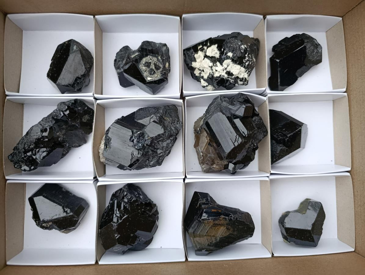 Natural Schorl Black Tourmaline Specimens x 12 From Erongo, Namibia - Toprock Gemstones and Minerals 