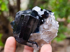 Natural Schorl Black Tourmaline Specimens x 12 From Erongo, Namibia - Toprock Gemstones and Minerals 