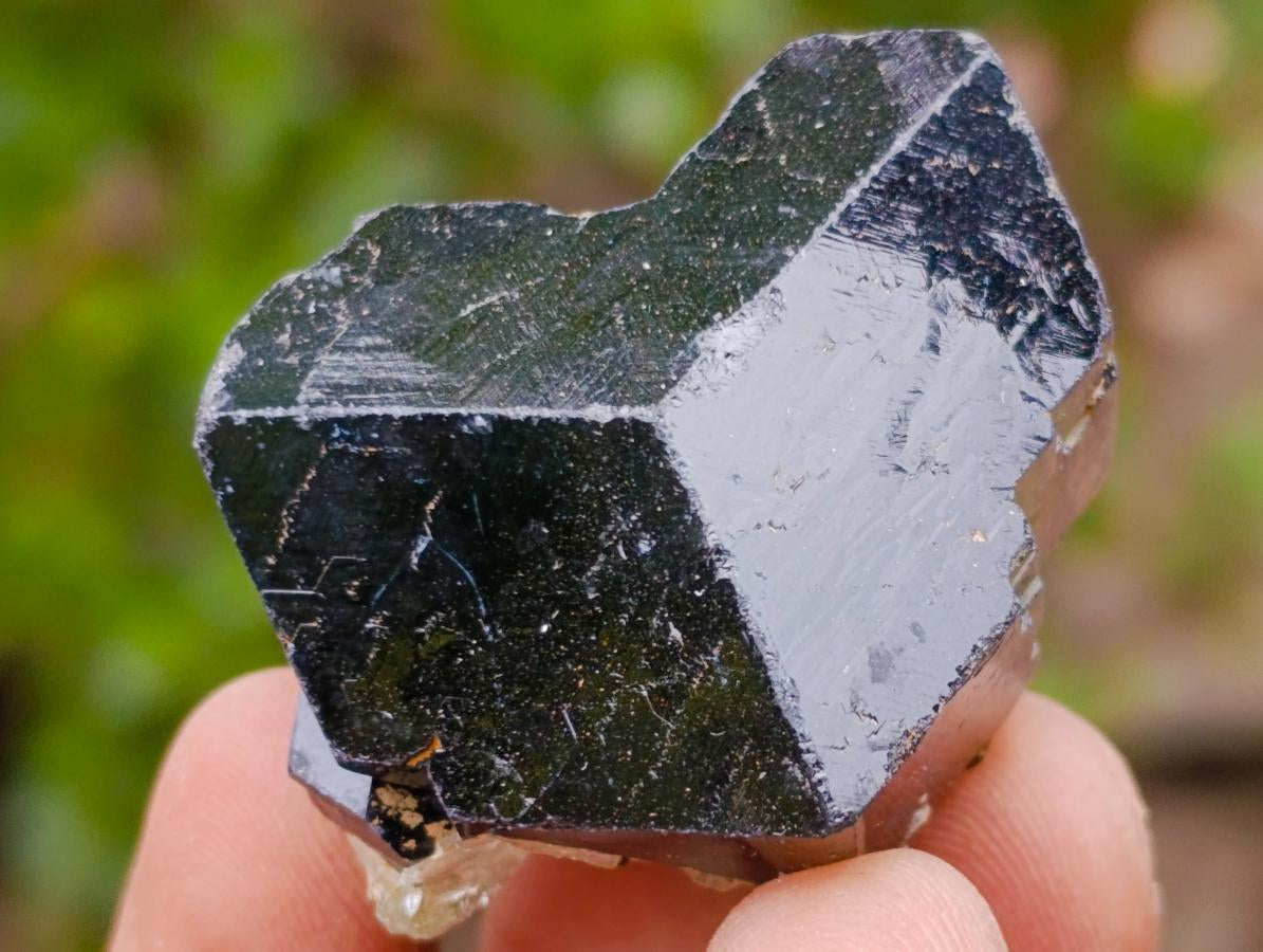 Natural Schorl Black Tourmaline Specimens x 12 From Erongo, Namibia - Toprock Gemstones and Minerals 