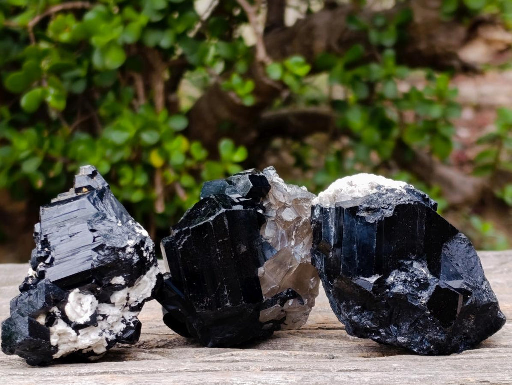 Natural Schorl Black Tourmaline Specimens x 12 From Erongo, Namibia - Toprock Gemstones and Minerals 