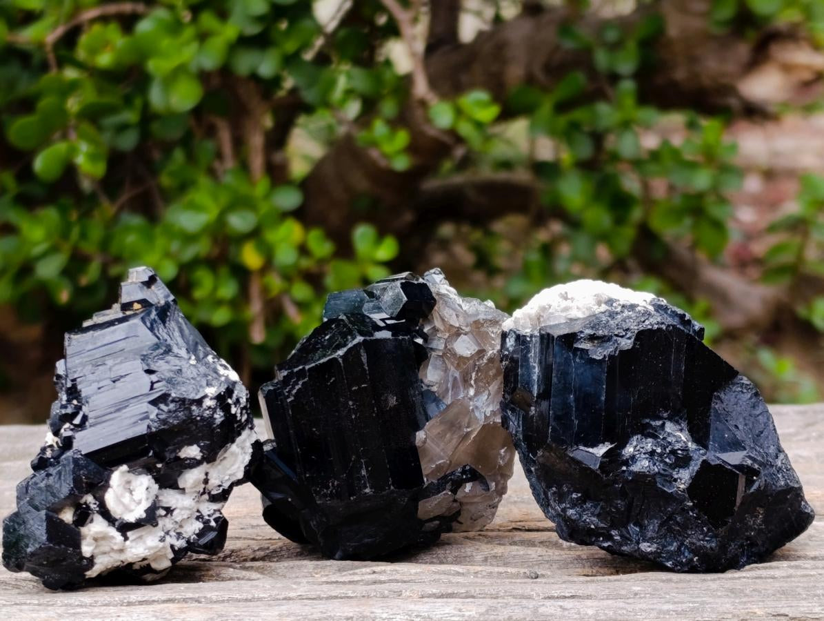 Natural Schorl Black Tourmaline Specimens x 12 From Erongo, Namibia - Toprock Gemstones and Minerals 