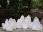 Natural Cascading "Anananas" Candle Quartz Crystals x 12 From Antsirabe, Madagascar - Toprock Gemstones and Minerals 