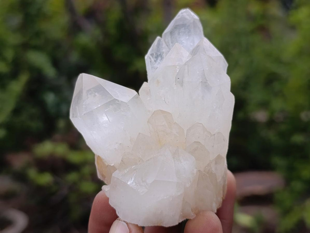 Natural Cascading "Anananas" Candle Quartz Crystals x 12 From Antsirabe, Madagascar - Toprock Gemstones and Minerals 