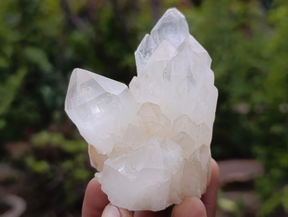 Natural Cascading "Anananas" Candle Quartz Crystals x 12 From Antsirabe, Madagascar - Toprock Gemstones and Minerals 