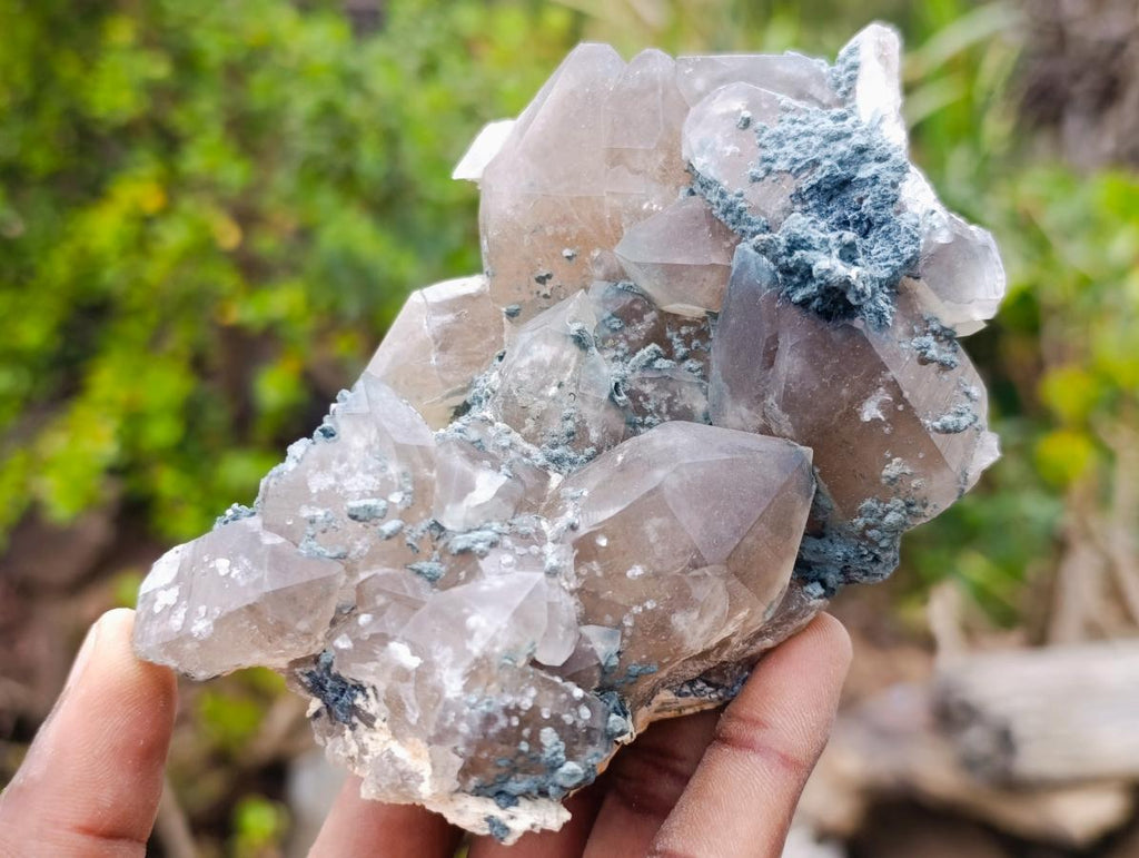 Natural Smokey Quartz Clusters with Foitite x 6 From Erongo, Namibia - Toprock Gemstones and Minerals 