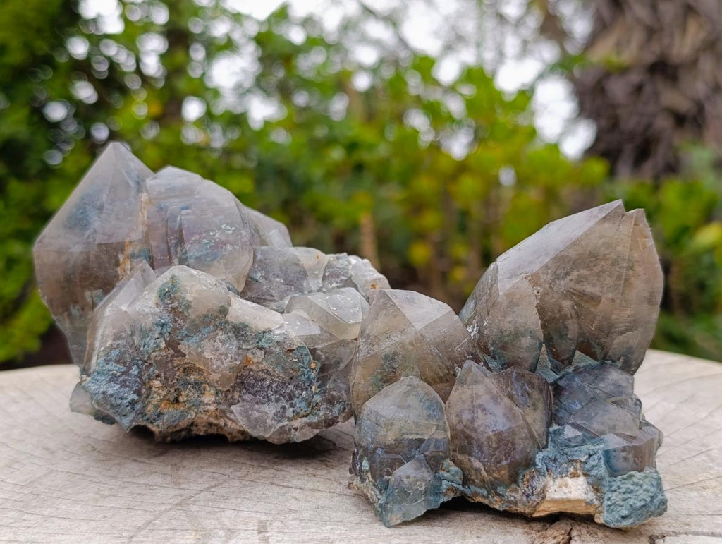Natural Smokey Quartz Clusters with Foitite x 6 From Erongo, Namibia - Toprock Gemstones and Minerals 