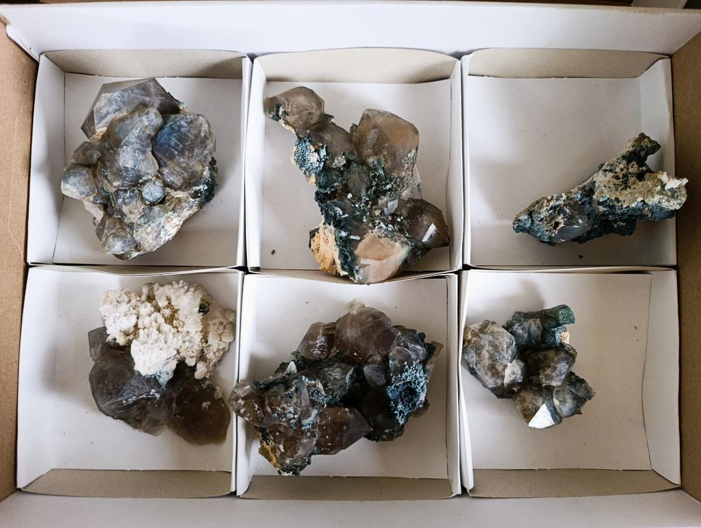 Natural Smokey Quartz Clusters with Foitite x 6 From Erongo, Namibia - Toprock Gemstones and Minerals 