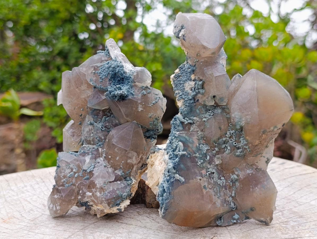 Natural Smokey Quartz Clusters with Foitite x 6 From Erongo, Namibia - Toprock Gemstones and Minerals 