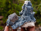 Natural Smokey Quartz Clusters with Foitite x 6 From Erongo, Namibia - Toprock Gemstones and Minerals 
