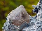 Natural Smokey Quartz Clusters with Foitite x 6 From Erongo, Namibia - Toprock Gemstones and Minerals 