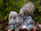 Natural Smokey Quartz Clusters with Foitite x 6 From Erongo, Namibia - Toprock Gemstones and Minerals 